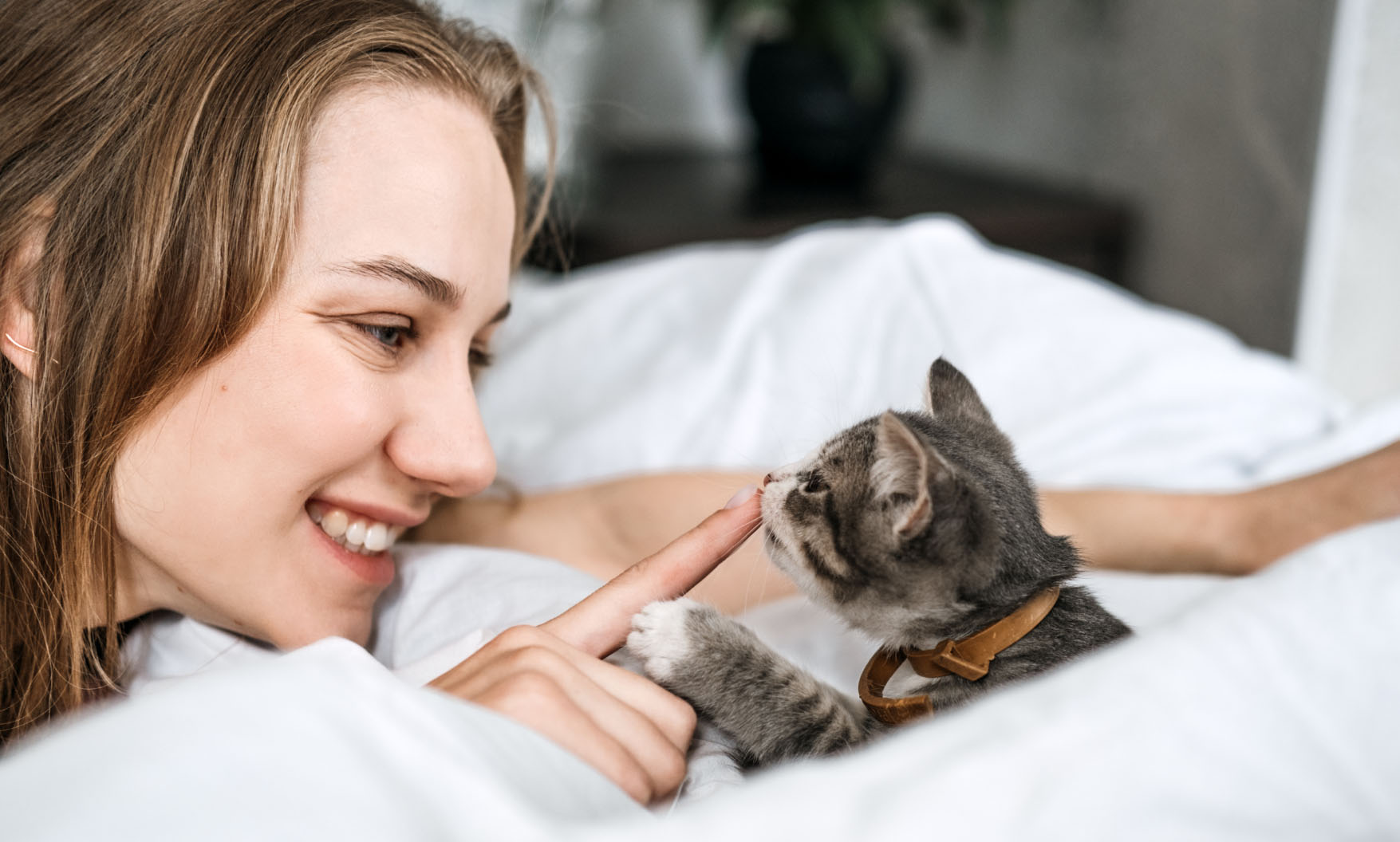 Pflegeprodukte für Kitten