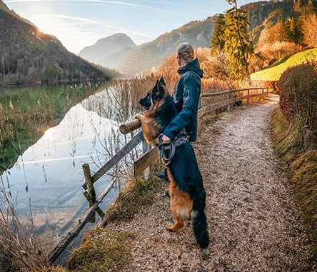 Wandern Hund mit