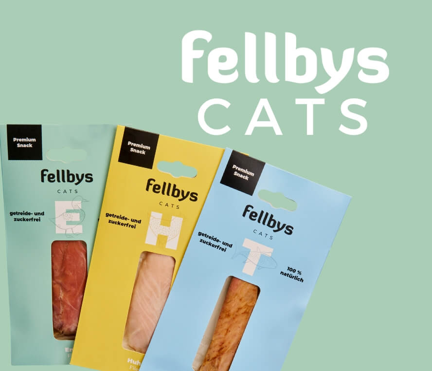 fellbys-cat.jpg