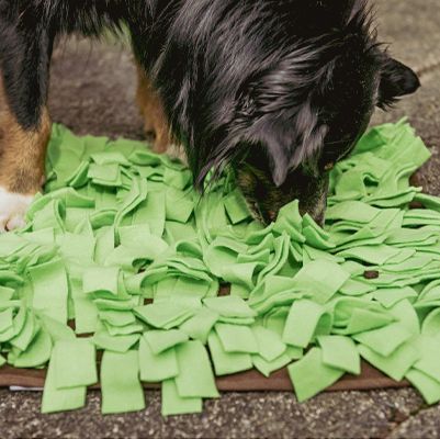 Kuscheltiere für Hunde ökologisch & handgefertigt » Grüne Pfote®