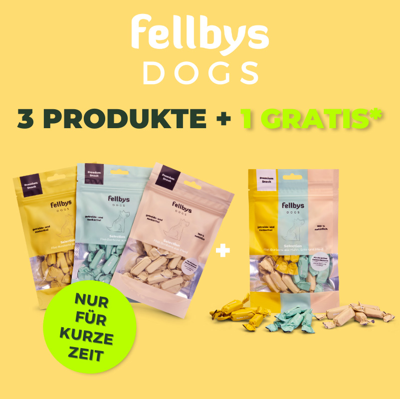 Hundegrid_fellbys.jpg