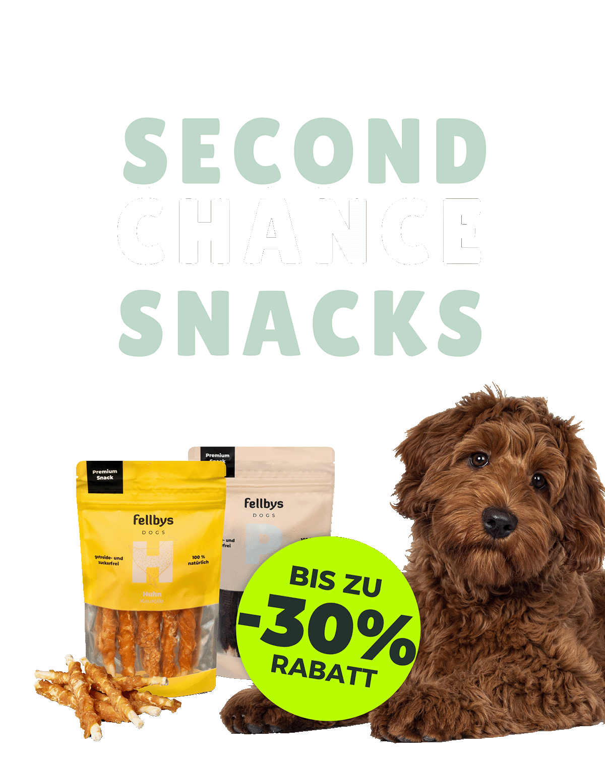 Fellbys Second Chance Snacks