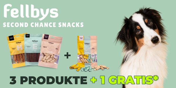 fellbys_3plus1_hund_menue.jpg