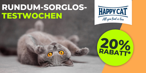 hAPPY_cat_MENUE.jpg