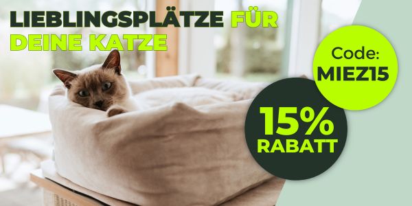 schlafplaetze_katze_men.jpg