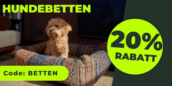 Hundebekleidung_Menue_februar.jpg