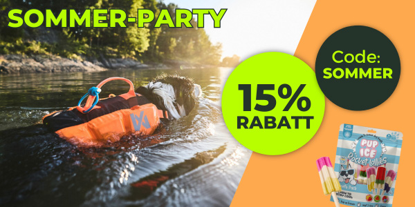 SommerParty_menue.jpg