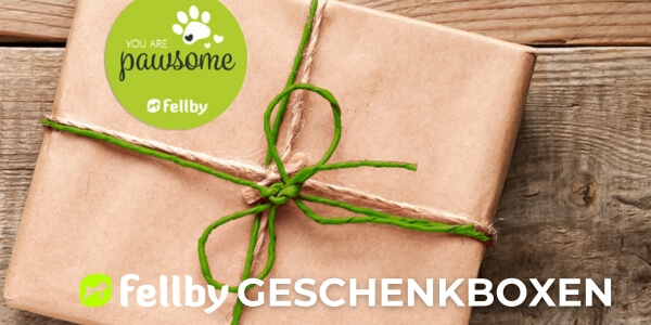 geschenkboxgro1.jpg