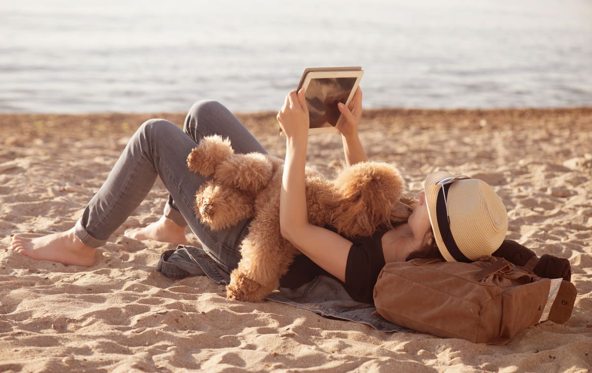 Hund-mit-Besitzer-am-Strand.jpeg