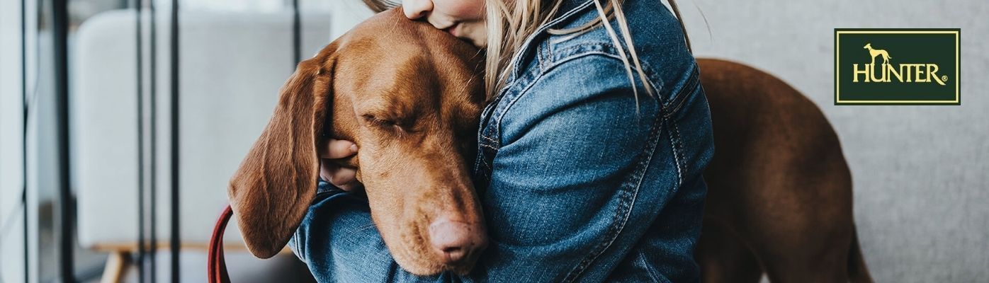 Sicherheitsgurte Zubehör, 10 Stück, Haustier Hundegurt  Befestigungsschnalle, Fahrzeug Sicherheitsgurt Geschirr Von 11,33 €