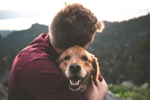 Golden Retriever wird von einem Mann umarmt