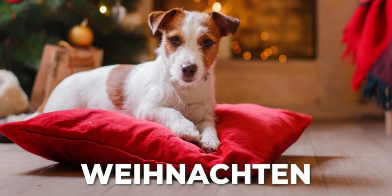 weihnachten_Start1.jpg