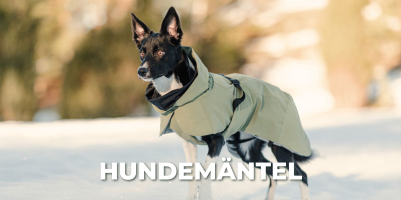Hundemntelneu.jpg