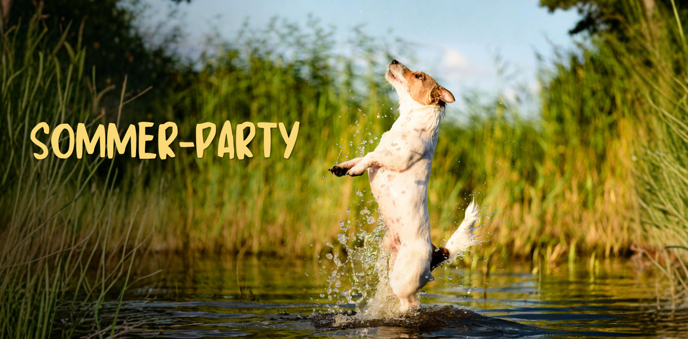 Fellby Sommer-Party