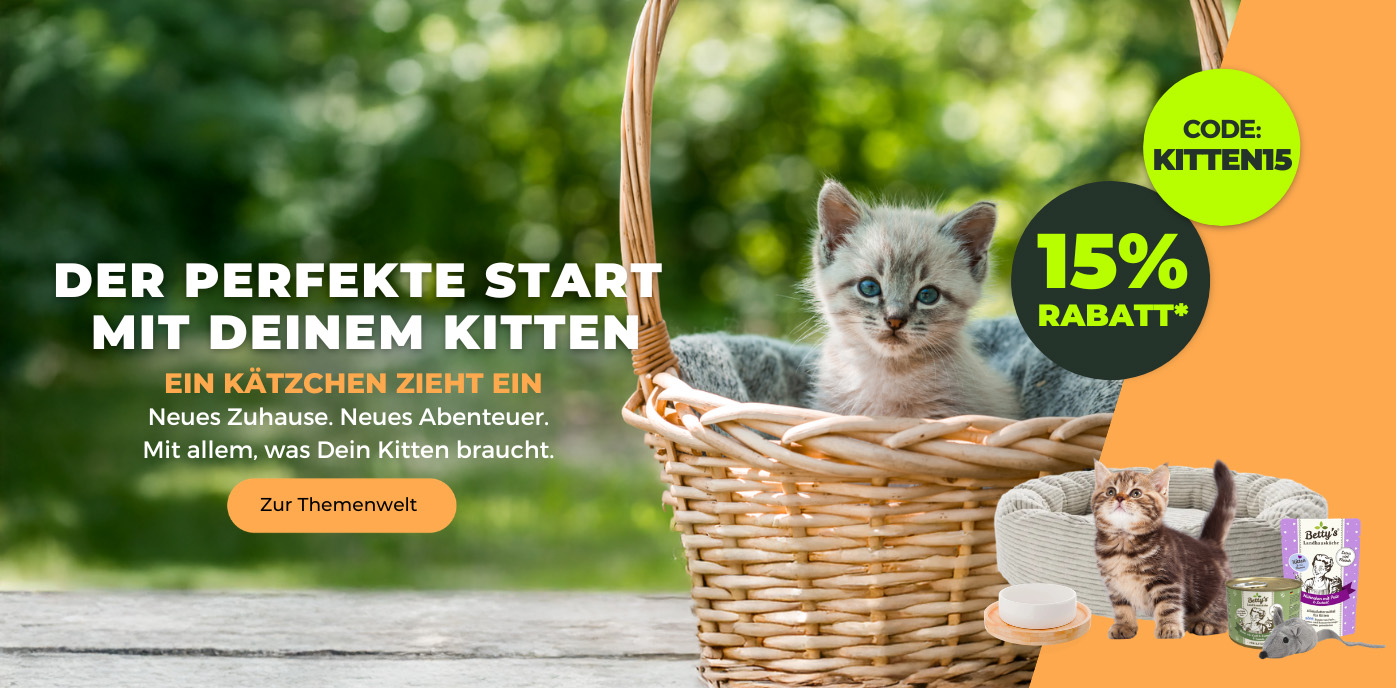 EinKittenziehtein_Desktop_Start.jpg