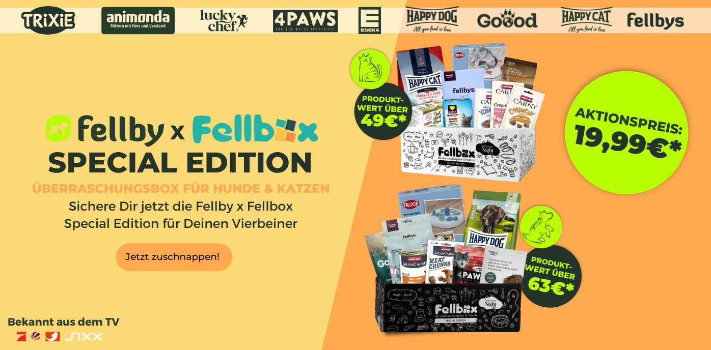 Fellbox_Desktop_Start_update.jpg
