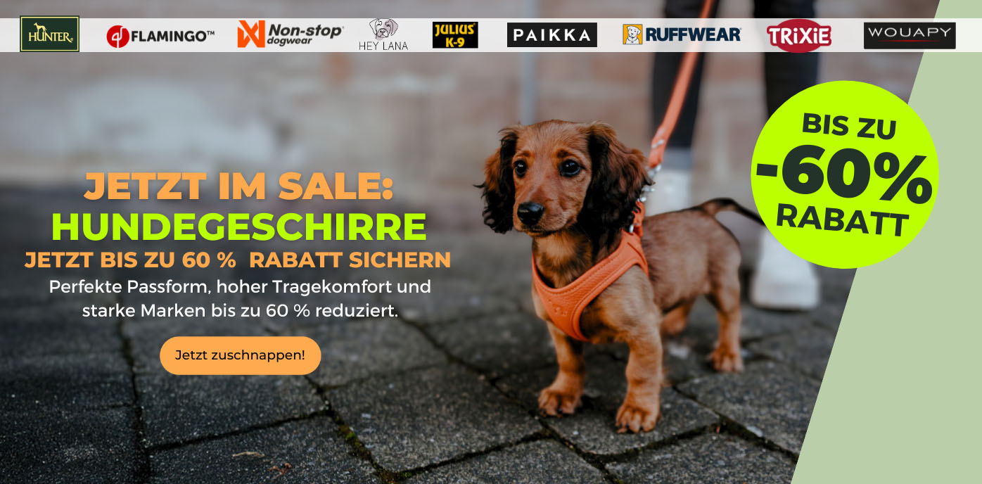 Geschirre_Startseite_Desktop.jpg