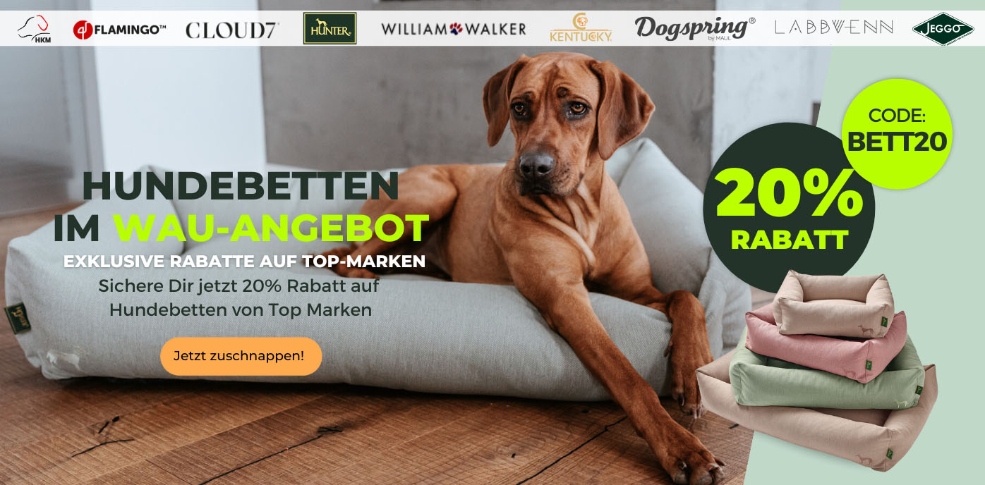 Hundebetten_desktop-start_oktober2.jpg