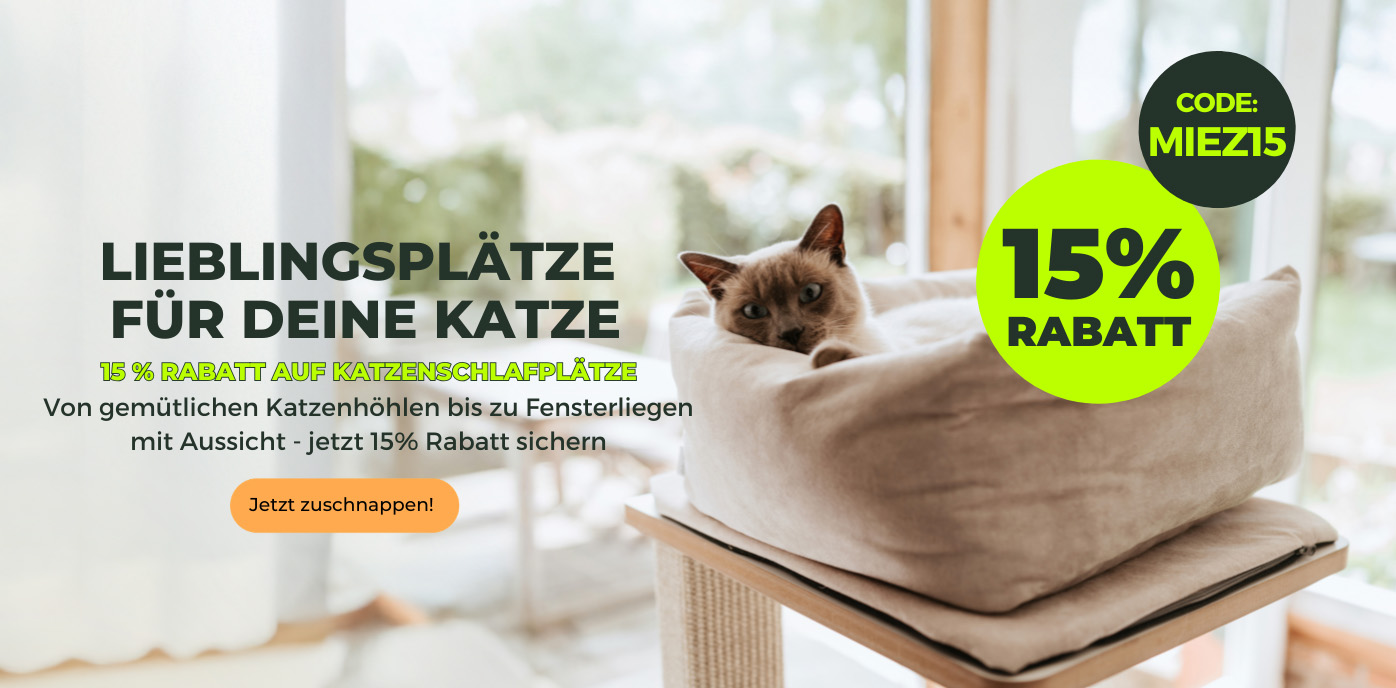 Katzenschlafplatz_Aktion_Startseite_Desktop.jpg