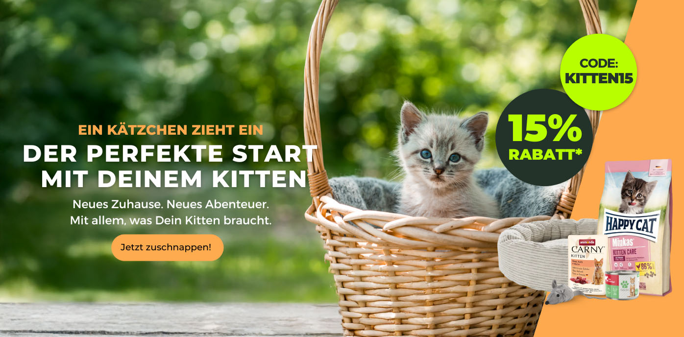 Kitten_desktop_Start.jpg