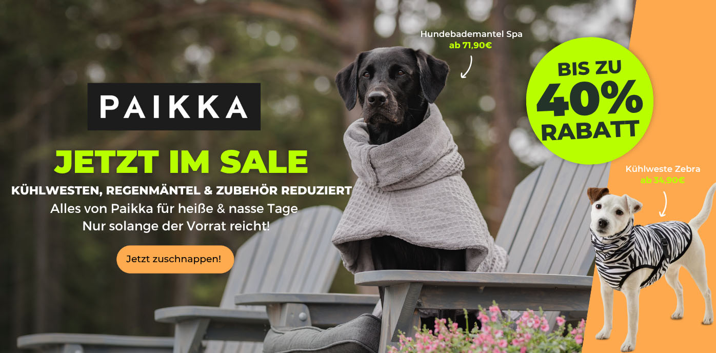 PAIKKA_Sale_Desktop1.jpg