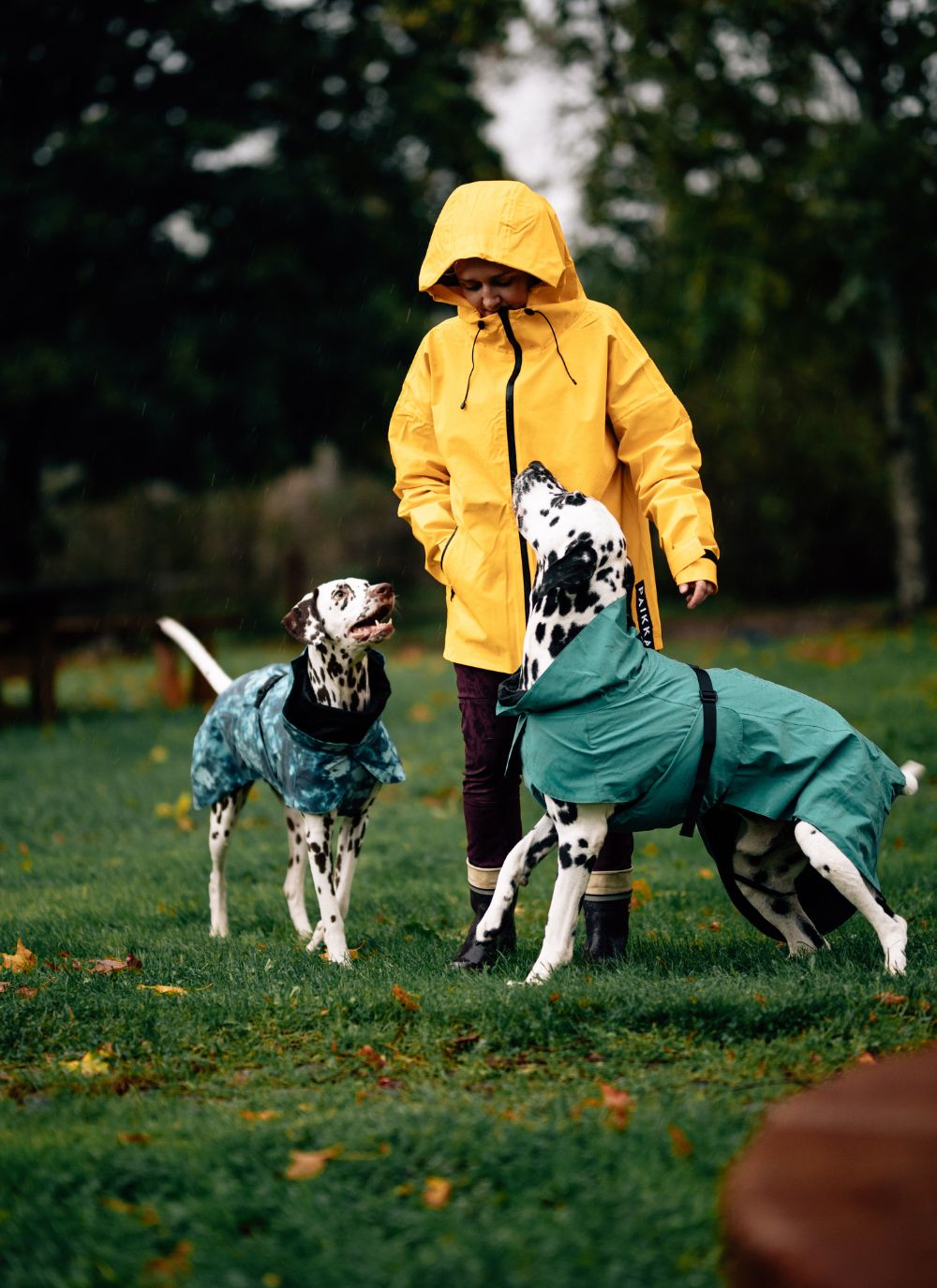 PAIKKA Hundebekleidung