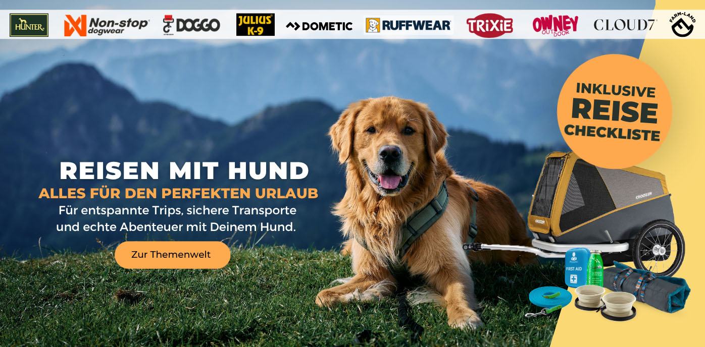 ReisenmitHund_Startseite_Desktop.jpg