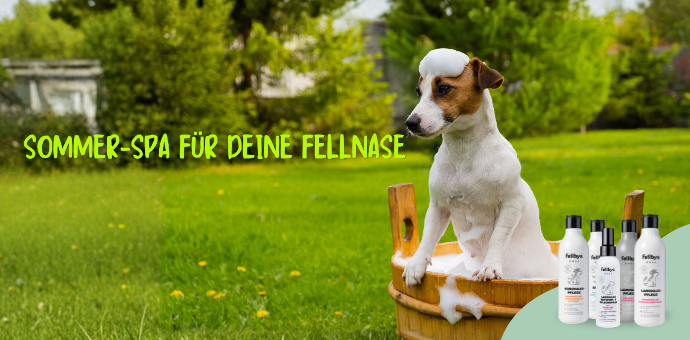 Fellbys Shamoo Hundeshampoo - 50% Rabatt