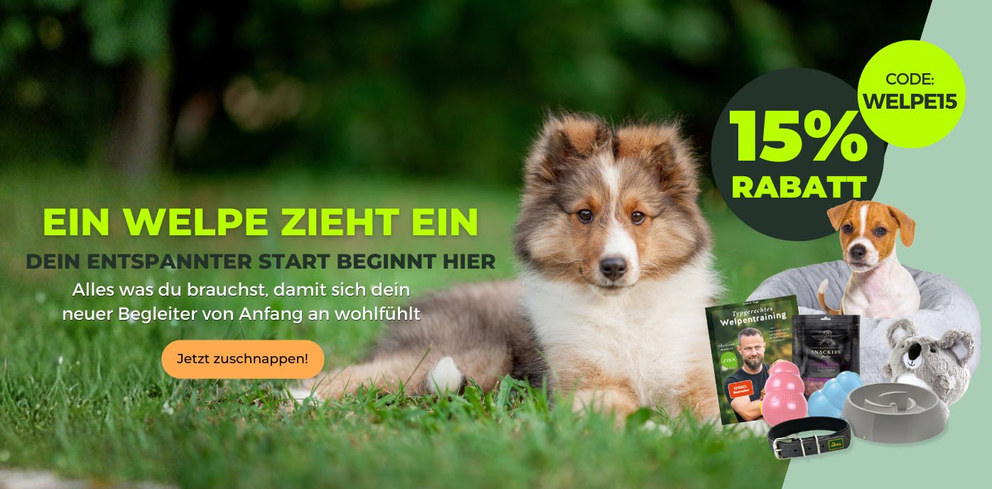 Startseite_Welpeziehtein_Desktop1.jpg