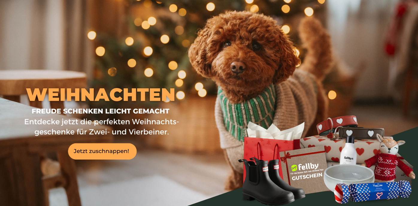 Weihnachten_Desktop_1.jpg