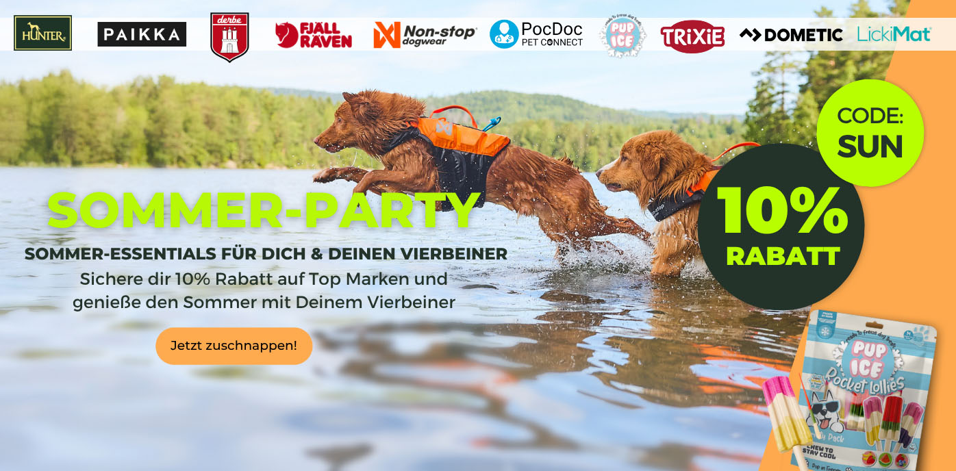 desktop-sommerparty-start.jpg
