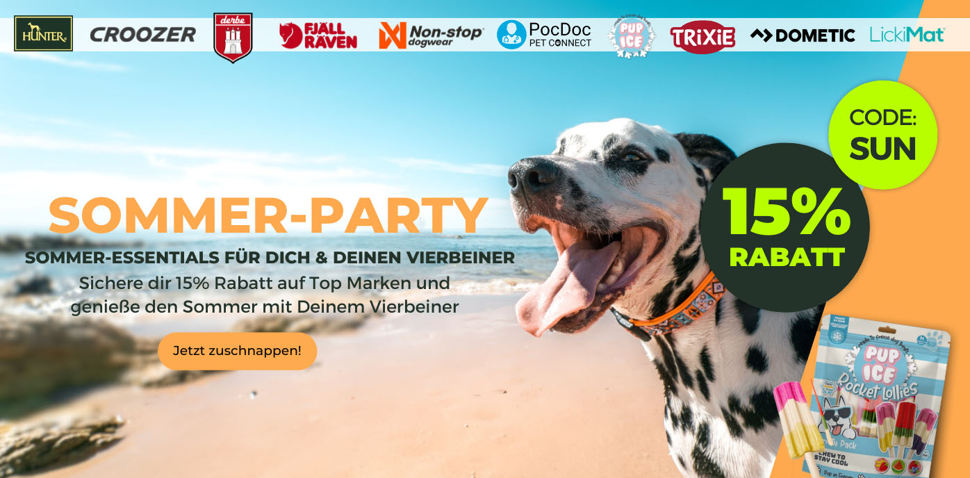 desktop-sommerparty-start11.jpg