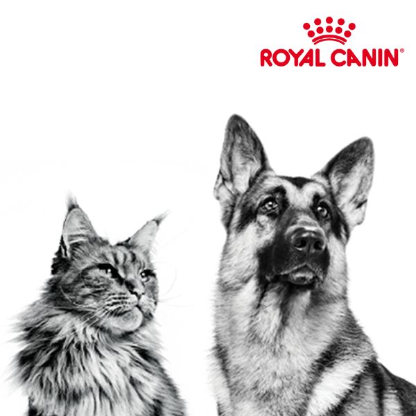 Royal Canin 