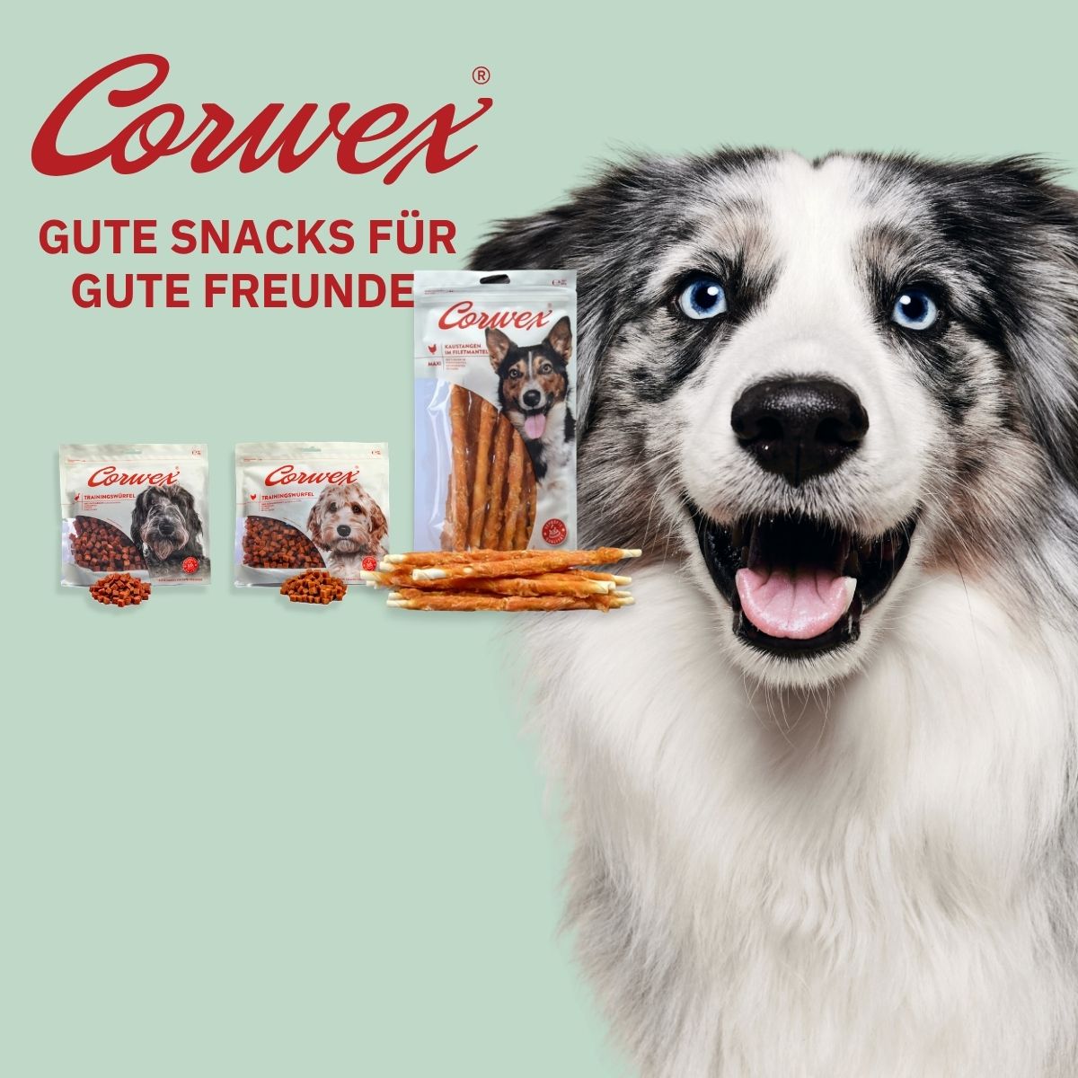 Corwex Neuheiten
