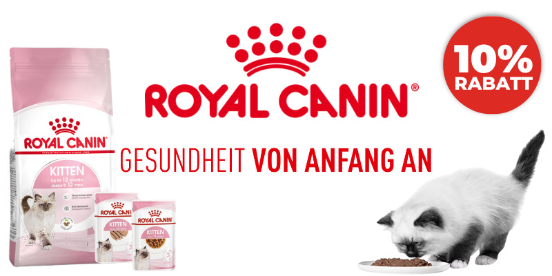 Royal_Canin_Sol_Kitty1.jpg