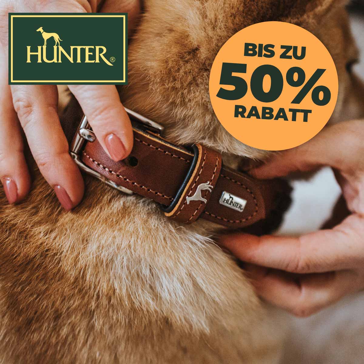 HUNTER Outlet Angebote