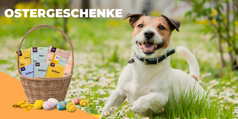 fellbys_bildlslider_ostern_start.jpg