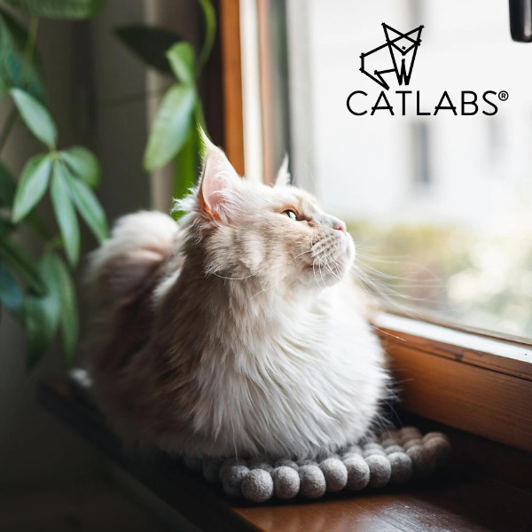 catlabs